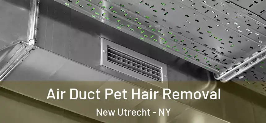 Air Duct Pet Hair Removal New Utrecht - NY