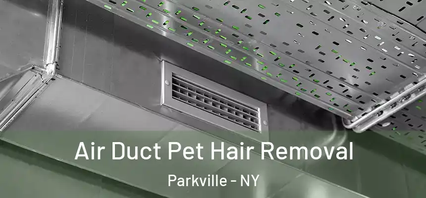 Air Duct Pet Hair Removal Parkville - NY