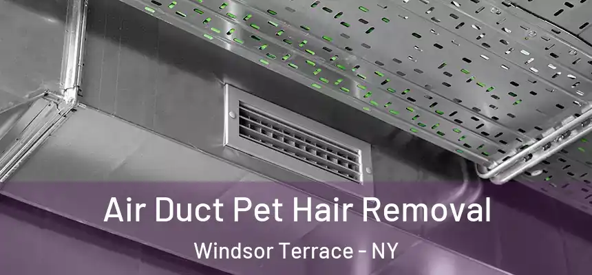  Air Duct Pet Hair Removal Windsor Terrace - NY