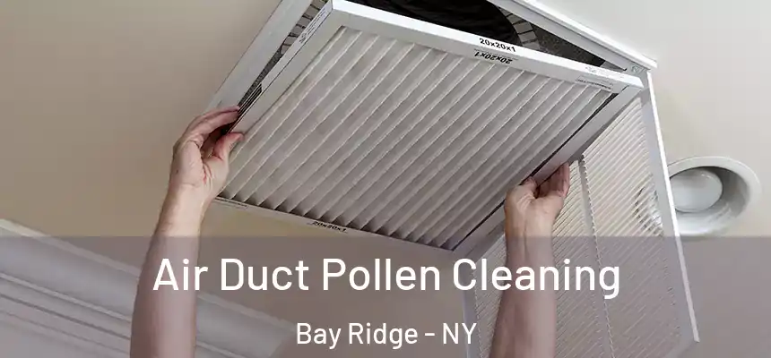 Air Duct Pollen Cleaning Bay Ridge - NY