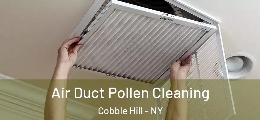  Air Duct Pollen Cleaning Cobble Hill - NY