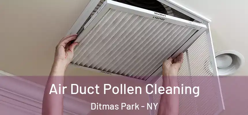  Air Duct Pollen Cleaning Ditmas Park - NY