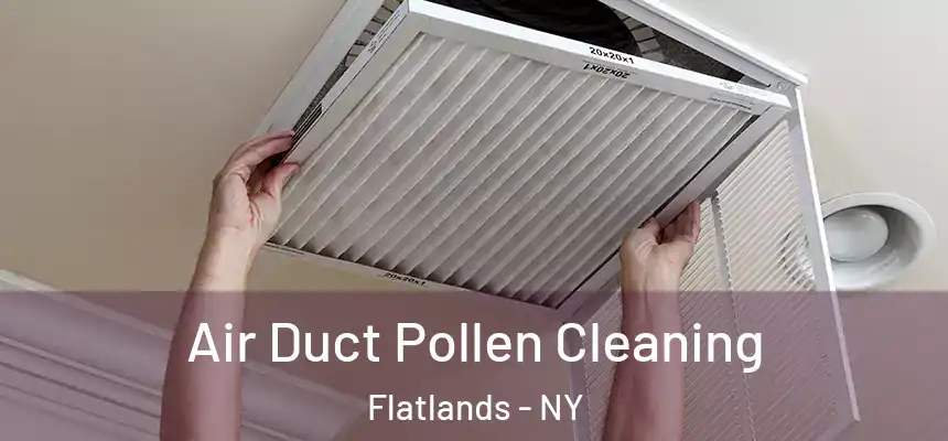  Air Duct Pollen Cleaning Flatlands - NY
