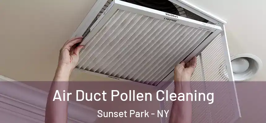  Air Duct Pollen Cleaning Sunset Park - NY