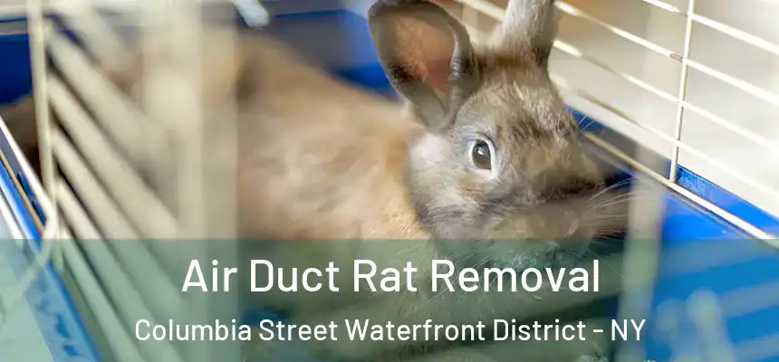  Air Duct Rat Removal Columbia Street Waterfront District - NY
