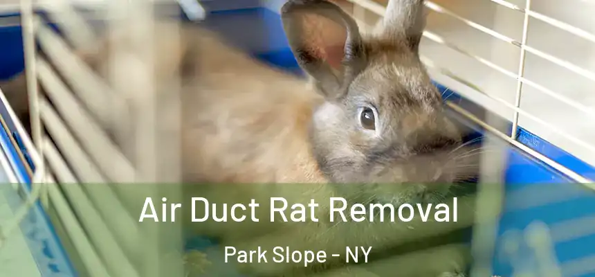 Air Duct Rat Removal Park Slope - NY