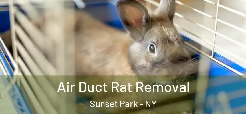  Air Duct Rat Removal Sunset Park - NY