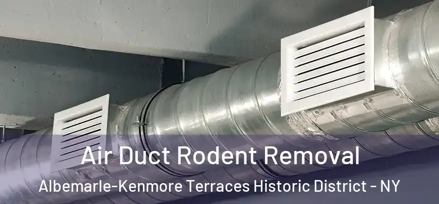 Air Duct Rodent Removal Albemarle-Kenmore Terraces Historic District - NY