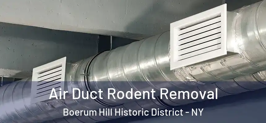  Air Duct Rodent Removal Boerum Hill Historic District - NY