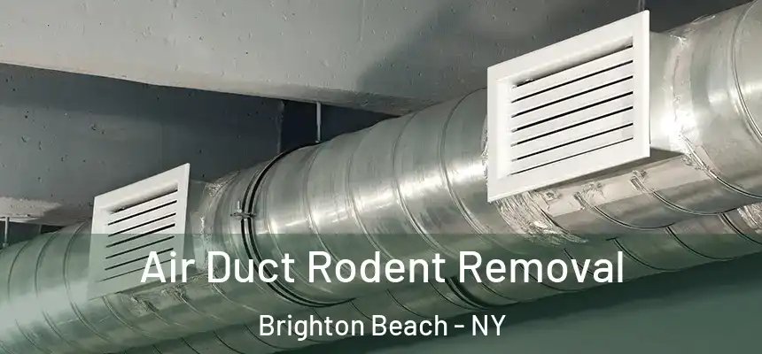 Air Duct Rodent Removal Brighton Beach - NY