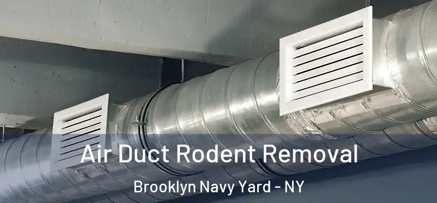 Air Duct Rodent Removal Brooklyn Navy Yard - NY