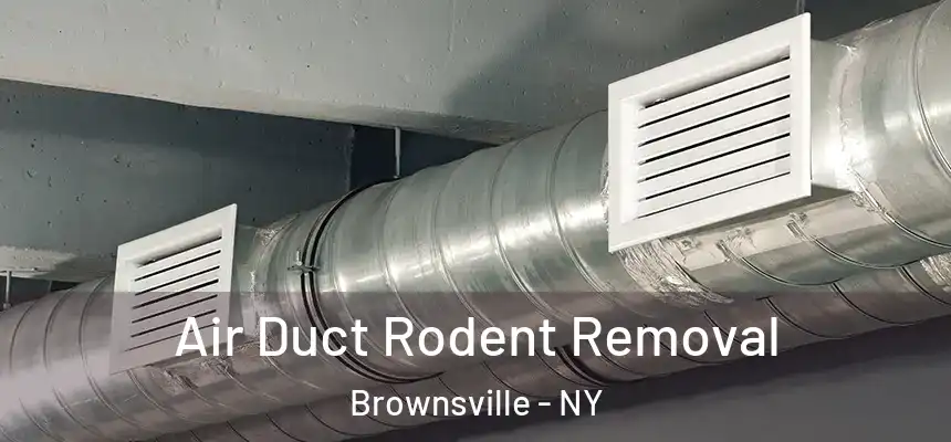 Air Duct Rodent Removal Brownsville - NY