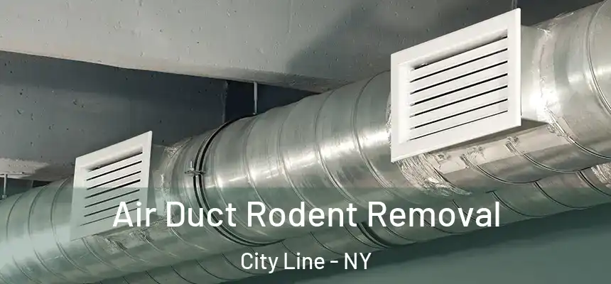  Air Duct Rodent Removal City Line - NY
