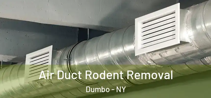  Air Duct Rodent Removal Dumbo - NY
