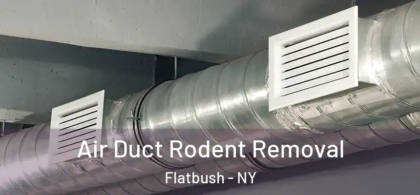 Air Duct Rodent Removal Flatbush - NY