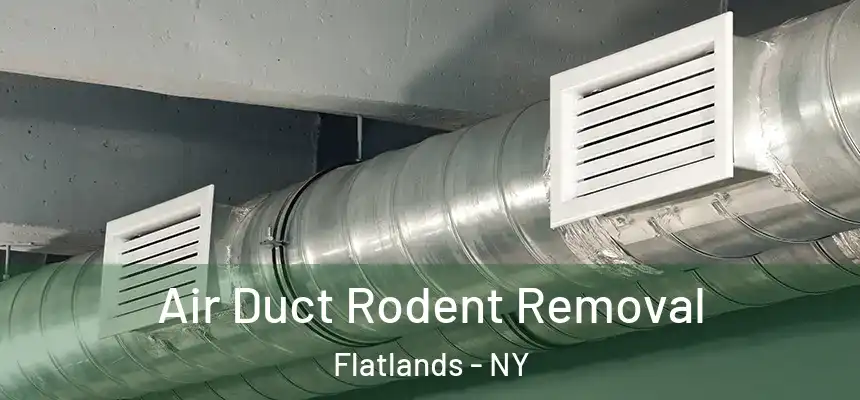 Air Duct Rodent Removal Flatlands - NY