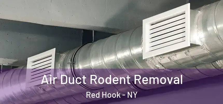 Air Duct Rodent Removal Red Hook - NY