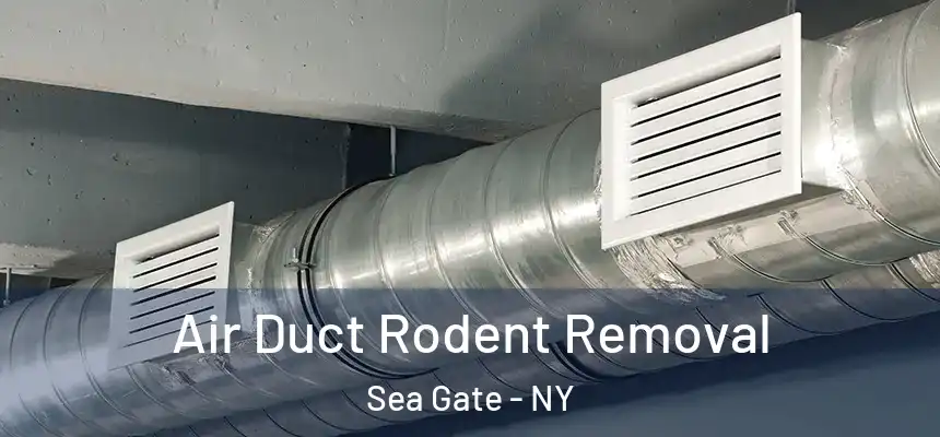 Air Duct Rodent Removal Sea Gate - NY