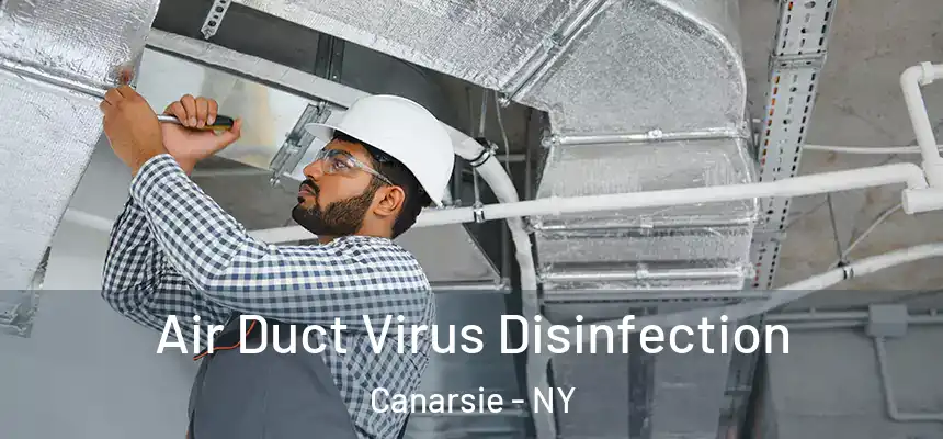 Air Duct Virus Disinfection Canarsie - NY