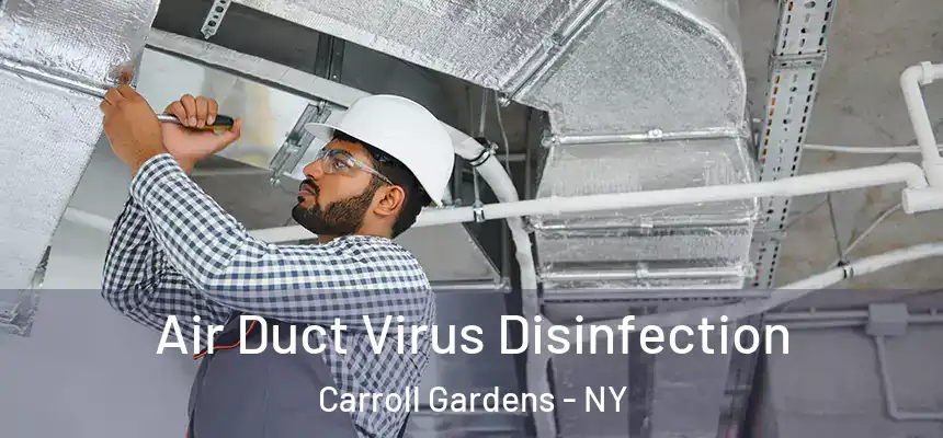 Air Duct Virus Disinfection Carroll Gardens - NY