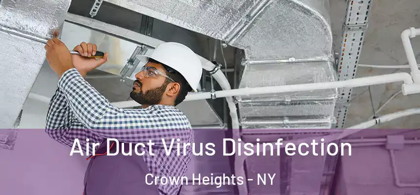  Air Duct Virus Disinfection Crown Heights - NY