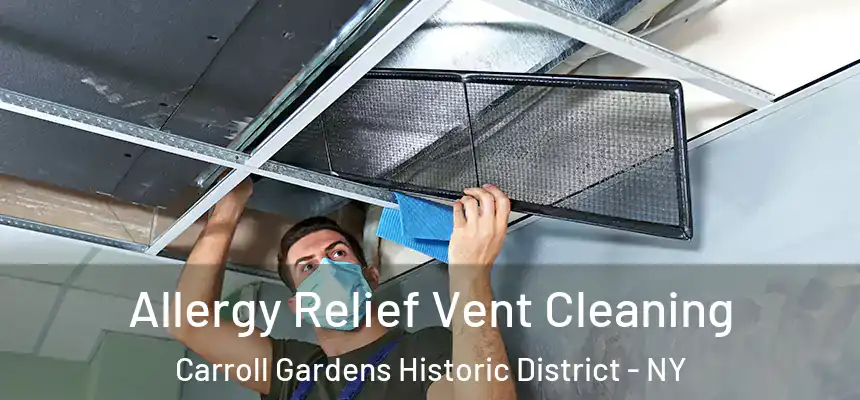 Allergy Relief Vent Cleaning Carroll Gardens Historic District - NY