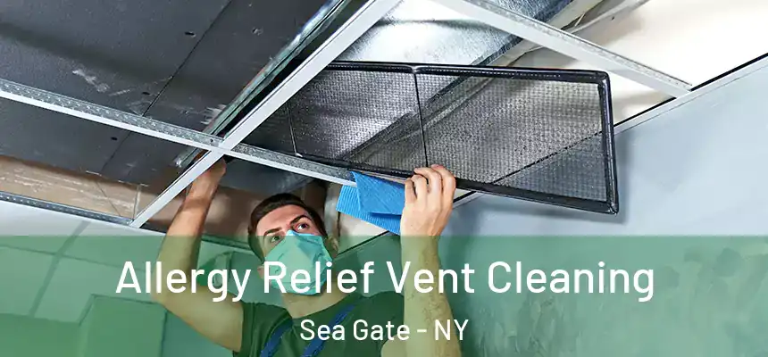 Allergy Relief Vent Cleaning Sea Gate - NY