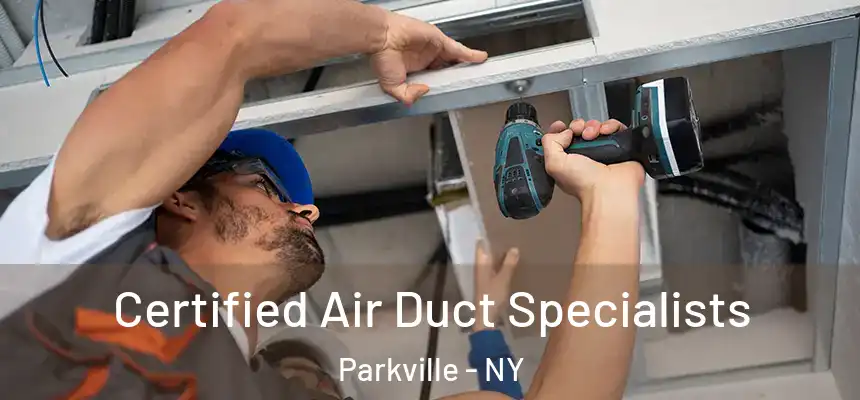 Certified Air Duct Specialists Parkville - NY