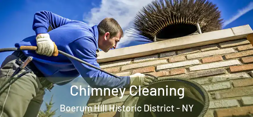 Chimney Cleaning Boerum Hill Historic District - NY