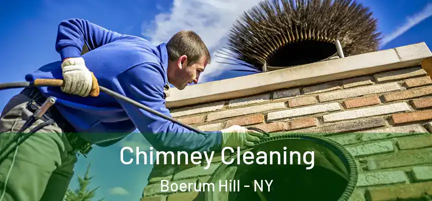  Chimney Cleaning Boerum Hill - NY