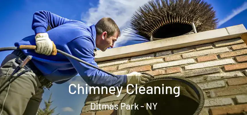  Chimney Cleaning Ditmas Park - NY