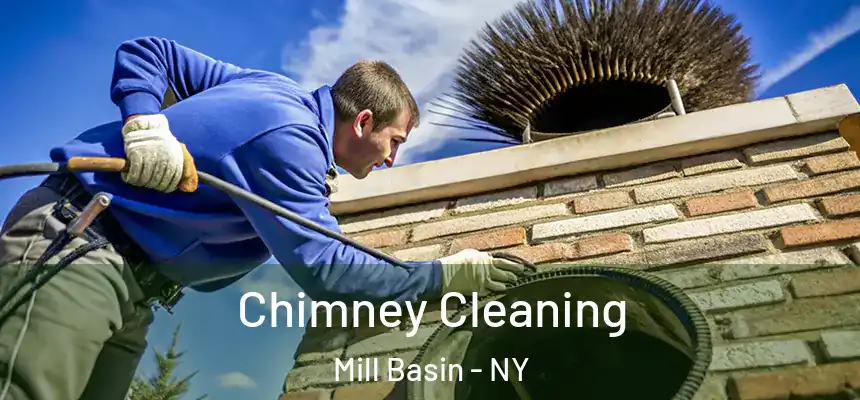  Chimney Cleaning Mill Basin - NY