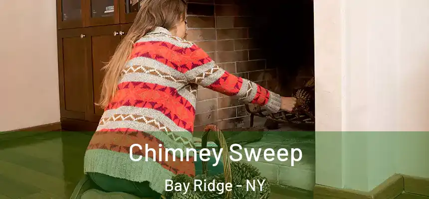  Chimney Sweep Bay Ridge - NY
