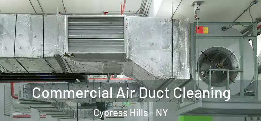 Commercial Air Duct Cleaning Cypress Hills - NY