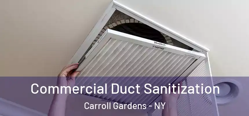  Commercial Duct Sanitization Carroll Gardens - NY