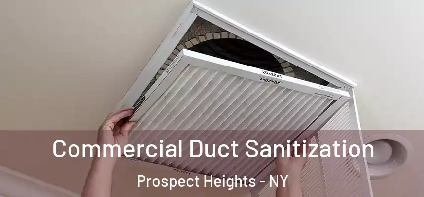  Commercial Duct Sanitization Prospect Heights - NY