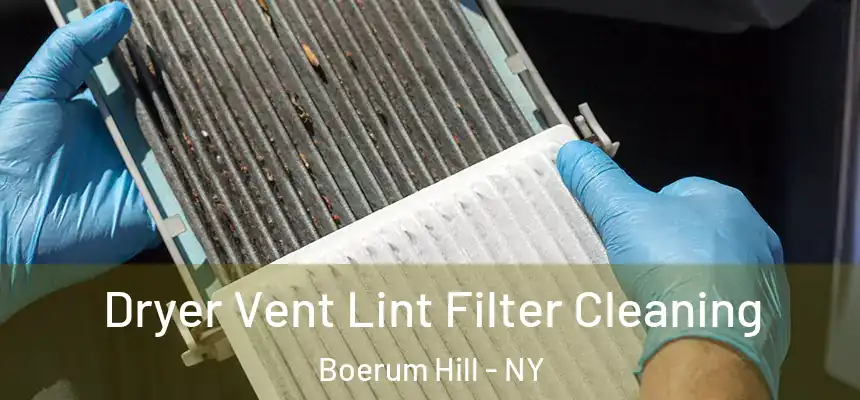  Dryer Vent Lint Filter Cleaning Boerum Hill - NY