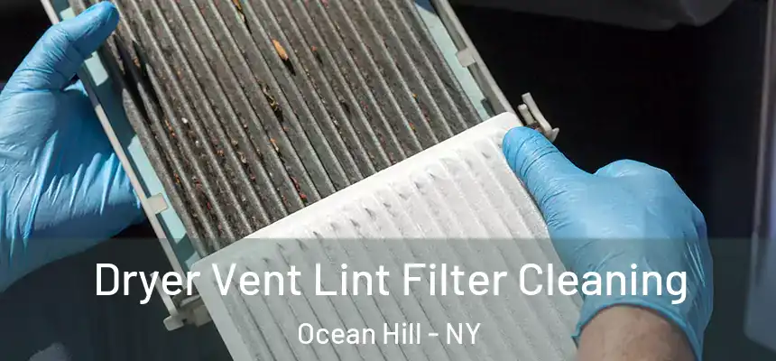  Dryer Vent Lint Filter Cleaning Ocean Hill - NY