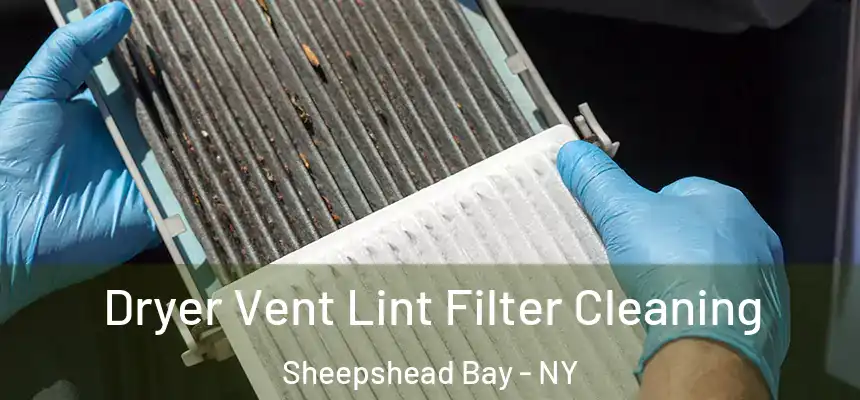  Dryer Vent Lint Filter Cleaning Sheepshead Bay - NY