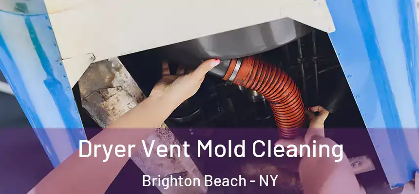 Dryer Vent Mold Cleaning Brighton Beach - NY
