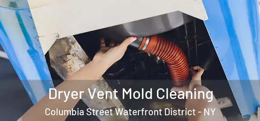  Dryer Vent Mold Cleaning Columbia Street Waterfront District - NY