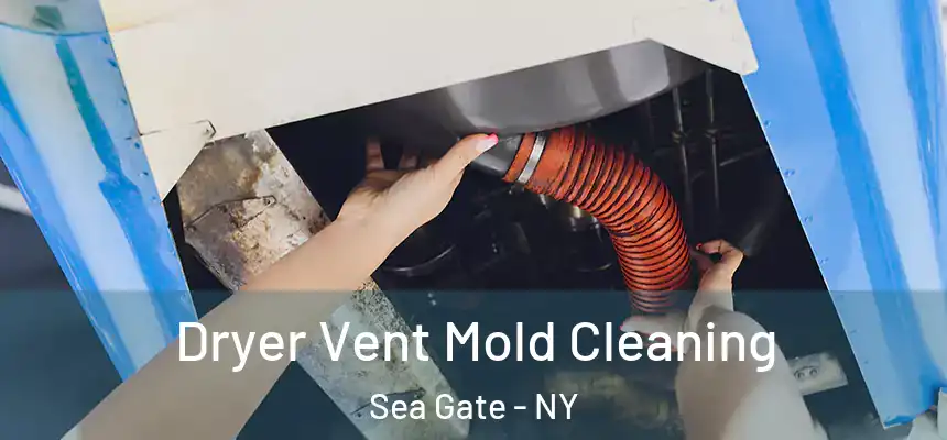 Dryer Vent Mold Cleaning Sea Gate - NY