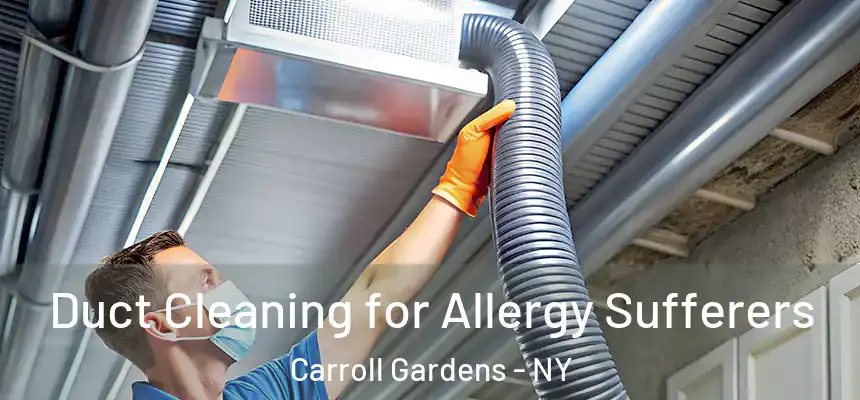 Duct Cleaning for Allergy Sufferers Carroll Gardens - NY