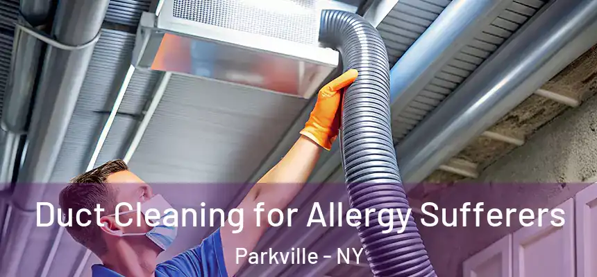 Duct Cleaning for Allergy Sufferers Parkville - NY