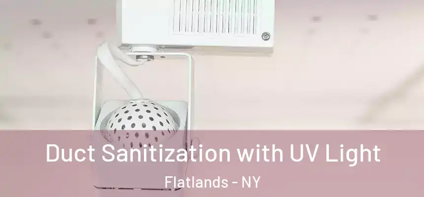 Duct Sanitization with UV Light Flatlands - NY
