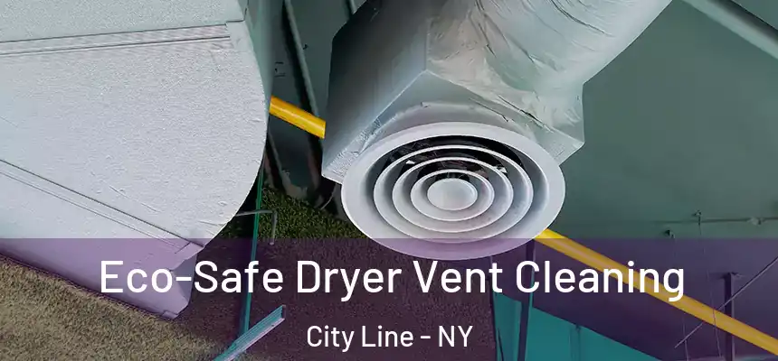 Eco-Safe Dryer Vent Cleaning City Line - NY