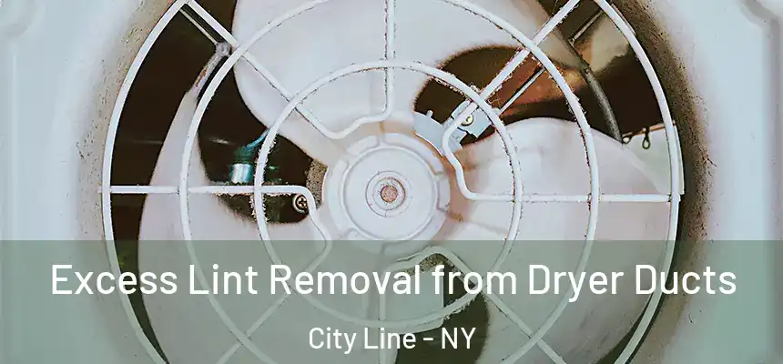  Excess Lint Removal from Dryer Ducts City Line - NY