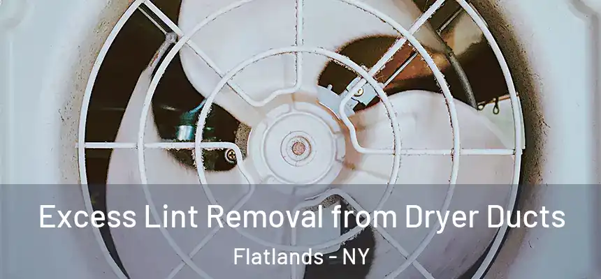  Excess Lint Removal from Dryer Ducts Flatlands - NY