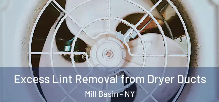  Excess Lint Removal from Dryer Ducts Mill Basin - NY