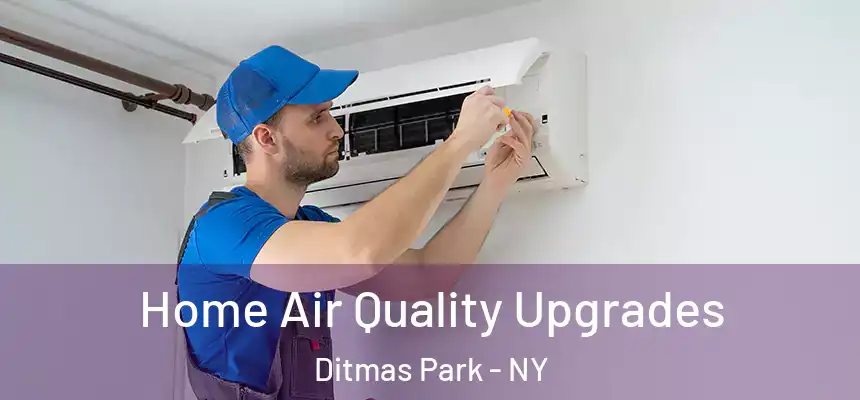  Home Air Quality Upgrades Ditmas Park - NY